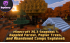  Minecraft 26.3 Snapshot 1: Dappled Forest, Poplar-Bäume und Abandoned Camps erklärt