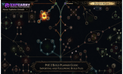 PoE 2 Build Planner Guide: Importing and Following Build Files