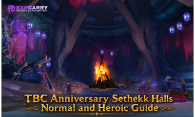 TBC Anniversary Sethekk Halls Normal and Heroic Guide
