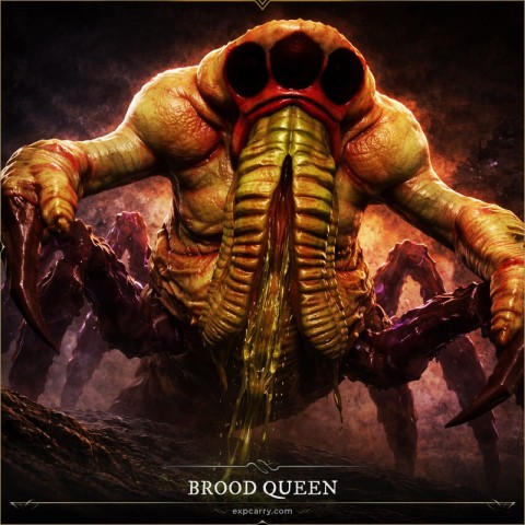 Brutkönigin