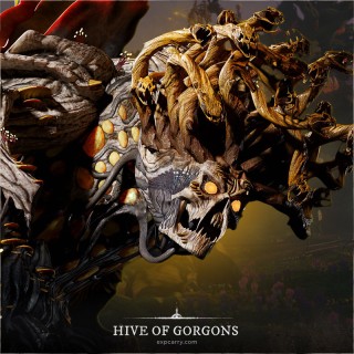 Hive of Gorgons-Raid