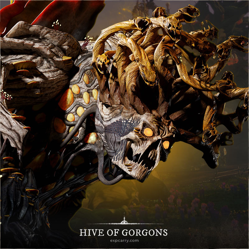 Hive of Gorgons Raid