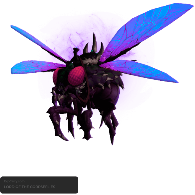 Buy Lord of the Corpseflies — Rare Mounts Boost Service | ExpCarry