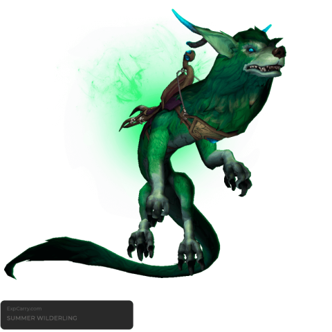 Sommerwildling
