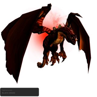 Black Drake
