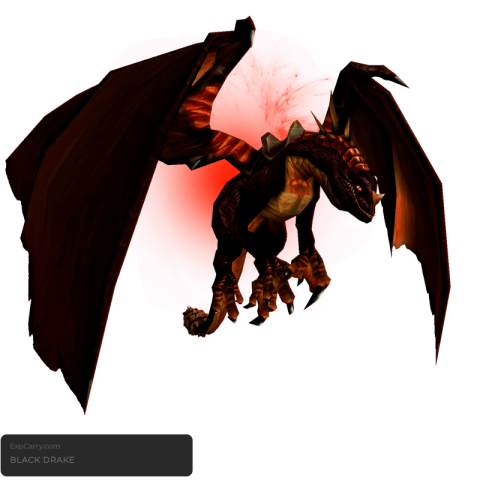Schwarzdrache