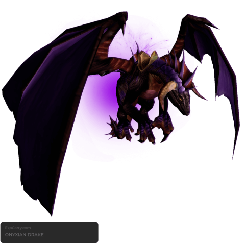 Drache von Onyxia