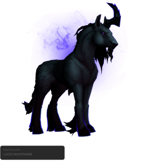 Lucid Nightmare