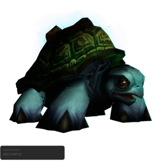 Sea Turtle