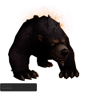 Blackpaw