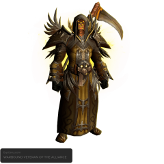 Warbound Veteran of the Alliance