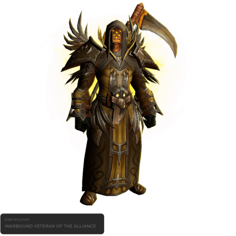 Warbound Veteran of the Alliance