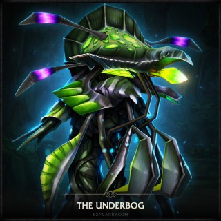 The Underbog