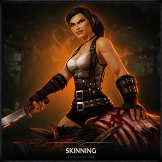 TBC Skinning