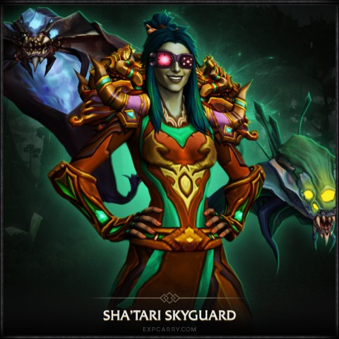 Sha'tari Skyguard