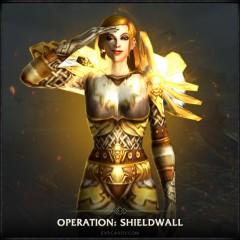 Operation Schildwall