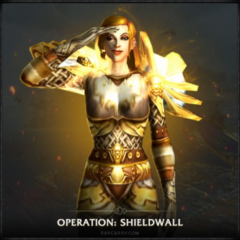 Operation Schildwall