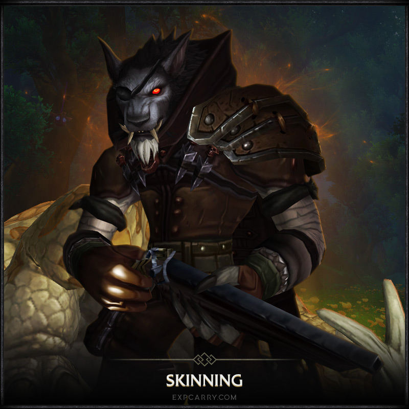 Skinning
