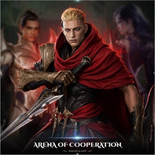 Arena of Cooperation