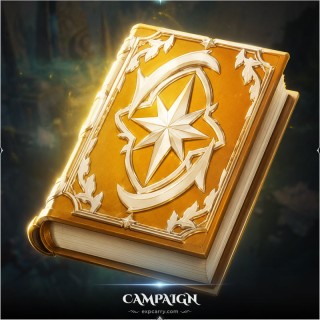 Campaign