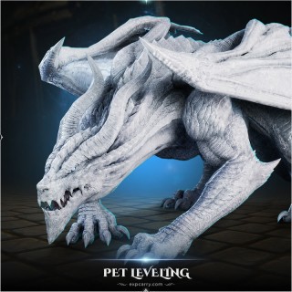 Pet Leveling 1-5