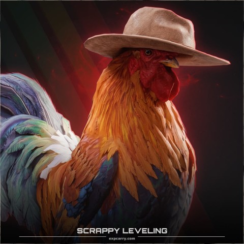 Scrappy the Rooster Leveling