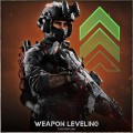 Weapon Leveling