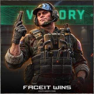 FACEIT Wins