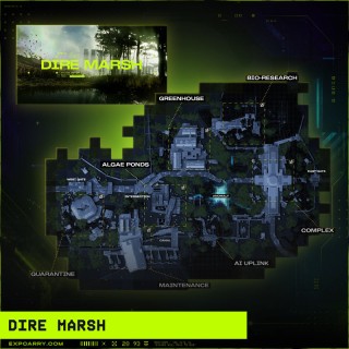 Dire Marsh Lockdown