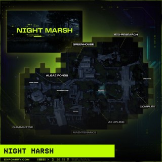 Night Marsh