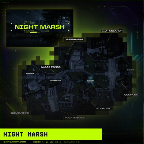 Night Marsh