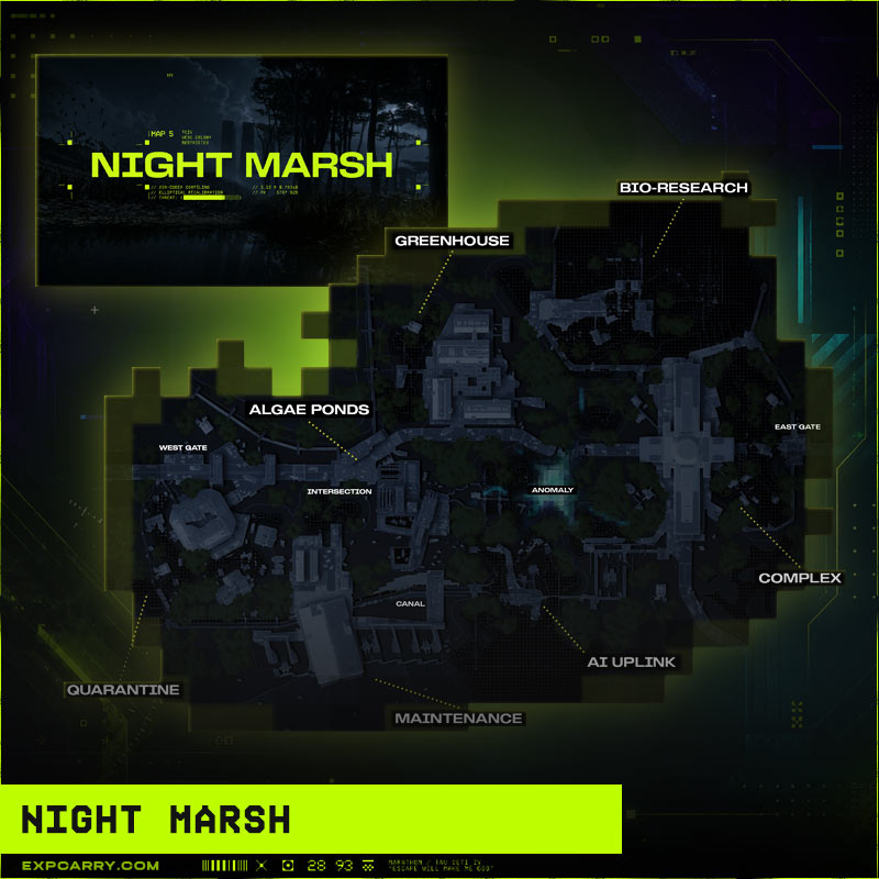 Night Marsh