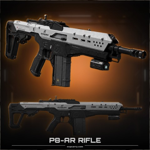 P8-AR Rifle
