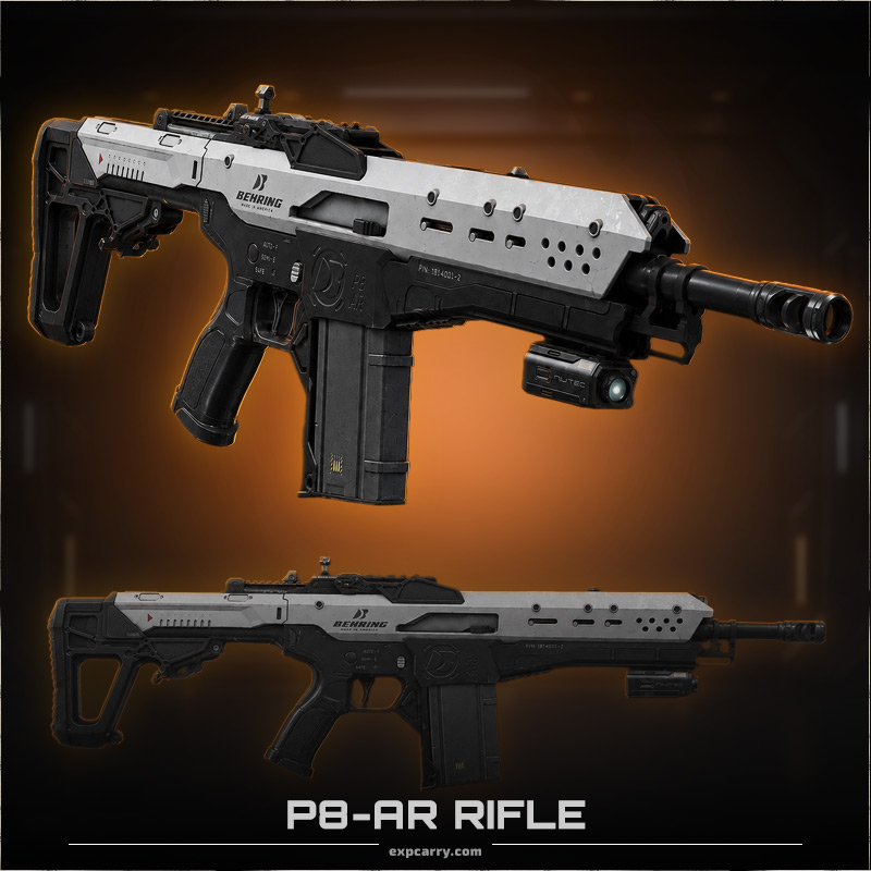 P8-AR Rifle