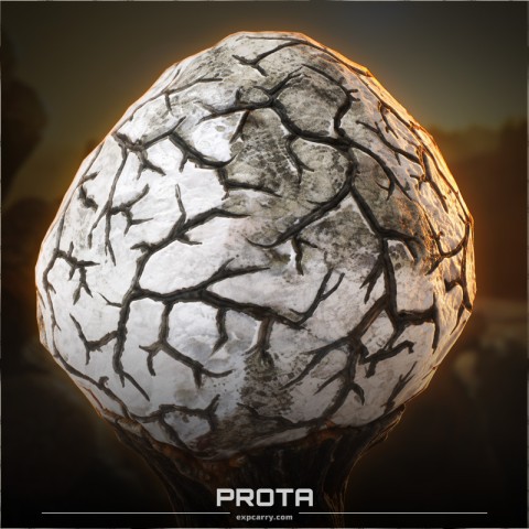 Prota Prota