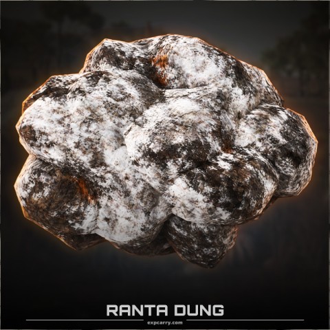 Ranta Dung Ranta Dung