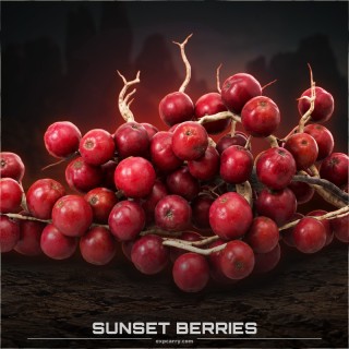 Sunset Berries