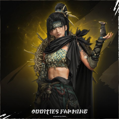Oddities Collection