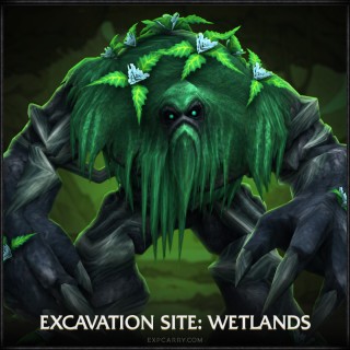 Excavation Site