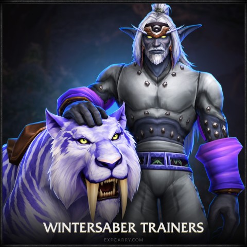 Wintersaber Trainers